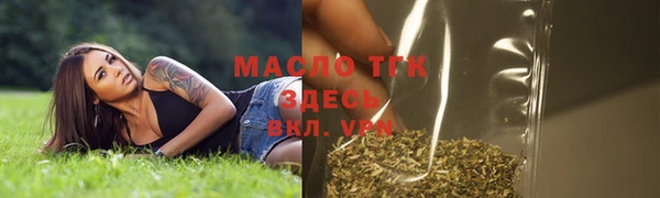 спиды Бородино