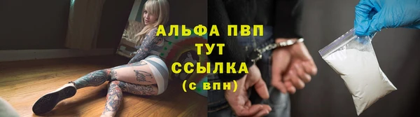 спиды Бородино