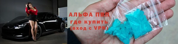 спиды Бородино