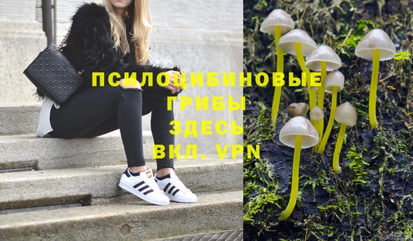 spice Ростов