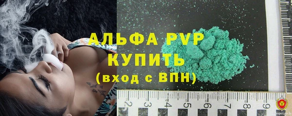 спиды Бородино