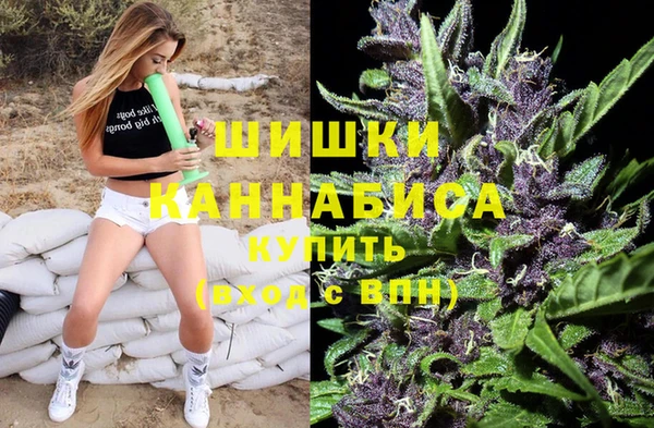 mdpv Рославль